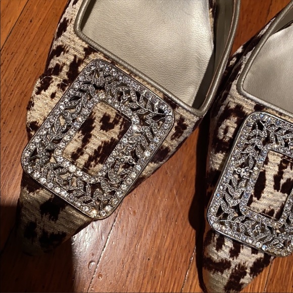 ❌SOLD❌ Manolo Blahnik Hangisi Kitten Heels Leopard with Buckle Size 36.5 - Picture 2 of 6